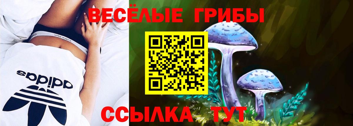Псилоцибиновые грибы Cubensis  Галлюциногенные грибы Cubensis  Воткинск  Вход с VPN 